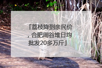 荔枝降到亲民价，合肥周谷堆日均批发20多万斤