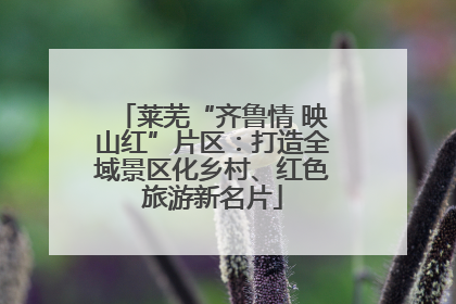 莱芜“齐鲁情 映山红”片区：打造全域景区化乡村、红色旅游新名片
