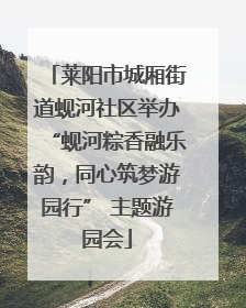 莱阳市城厢街道蚬河社区举办“蚬河粽香融乐韵，同心筑梦游园行” 主题游园会
