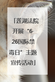 莲湖法院开展“6·26国际禁毒日”主题宣传活动