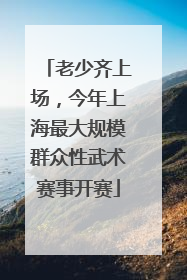 老少齐上场，今年上海最大规模群众性武术赛事开赛
