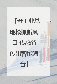 老工业基地抢抓新风口 传感谷传出智能强音