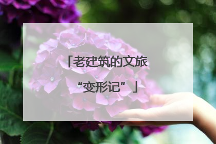 老建筑的文旅“变形记”
