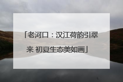 老河口：汉江荷韵引翠来 初夏生态美如画
