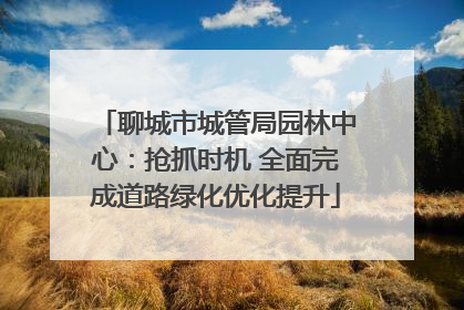聊城市城管局园林中心：抢抓时机 全面完成道路绿化优化提升