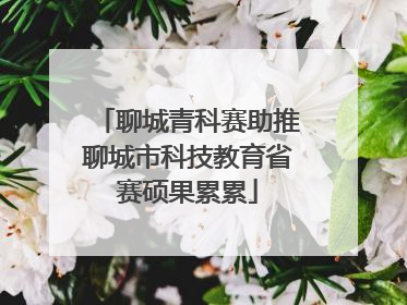 聊城青科赛助推聊城市科技教育省赛硕果累累