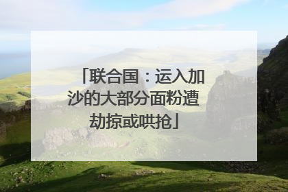 联合国：运入加沙的大部分面粉遭劫掠或哄抢
