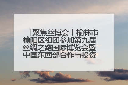 聚焦丝博会丨榆林市榆阳区组团参加第九届丝绸之路国际博览会暨中国东西部合作与投资贸易洽谈会