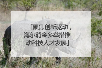 聚焦创新驱动，海尔消金多举措推动科技人才发展