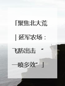 聚焦北大荒｜延军农场：飞防出击 “一喷多效”