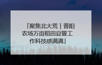 聚焦北大荒｜普阳农场万亩稻田夏管工作科技感满满