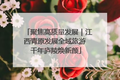 聚焦高质量发展｜江西青原发展全域旅游 千年庐陵焕新颜