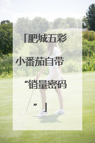 肥城五彩小番茄自带“销量密码”