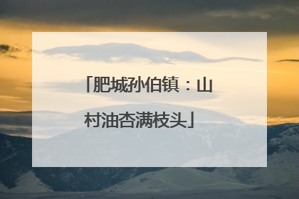 肥城孙伯镇：山村油杏满枝头