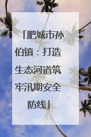 肥城市孙伯镇：打造生态河道筑牢汛期安全防线