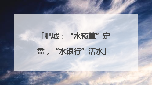 肥城：“水预算”定盘，“水银行”活水