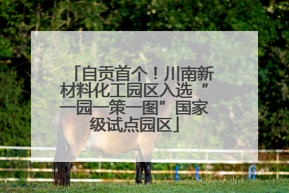自贡首个！川南新材料化工园区入选“一园一策一图”国家级试点园区