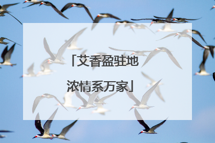 艾香盈驻地 浓情系万家