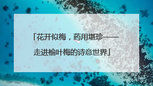 花开似梅，药用堪珍——走进榆叶梅的诗意世界