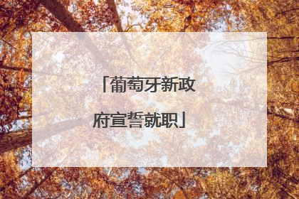葡萄牙新政府宣誓就职