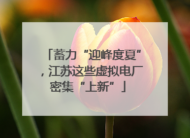 蓄力“迎峰度夏”，江苏这些虚拟电厂密集“上新”