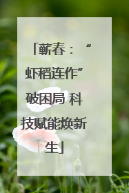 蕲春：“虾稻连作”破困局 科技赋能焕新生
