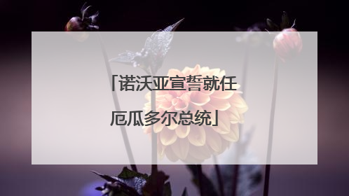 诺沃亚宣誓就任厄瓜多尔总统