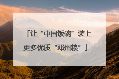 让“中国饭碗”装上更多优质“邓州粮”