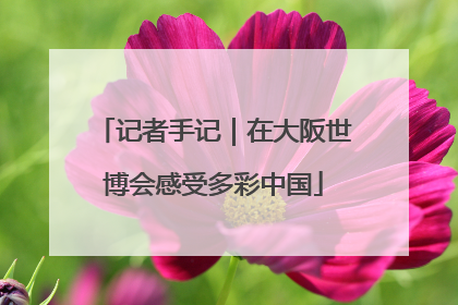 记者手记｜在大阪世博会感受多彩中国