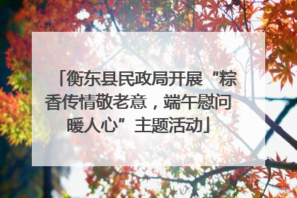 衡东县民政局开展“粽香传情敬老意，端午慰问暖人心”主题活动