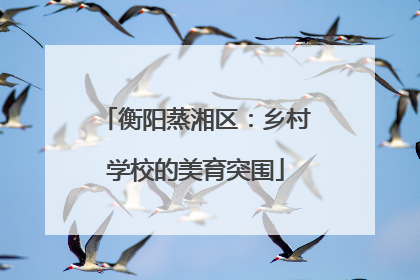 衡阳蒸湘区：乡村学校的美育突围
