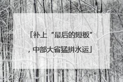 补上“最后的短板”，中部大省猛拼水运