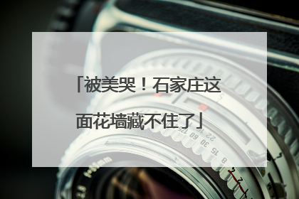 被美哭！石家庄这面花墙藏不住了
