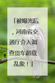 被曝光后，河南省交通厅介入调查货车超载乱象！