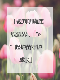 裁判明确底线边界，“e”起护苗守护成长