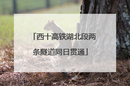 西十高铁湖北段两条隧道同日贯通