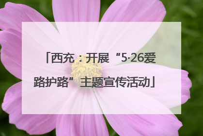 西充：开展“5·26爱路护路”主题宣传活动