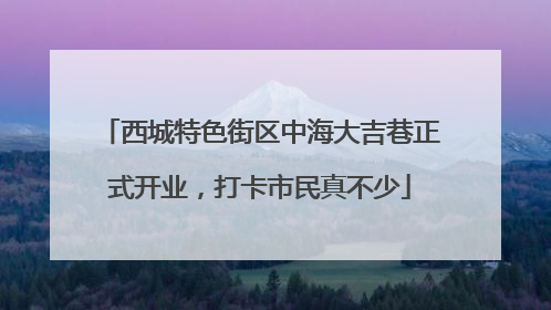 西城特色街区中海大吉巷正式开业，打卡市民真不少