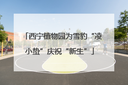 西宁植物园为雪豹“凌小蛰”庆祝“新生”