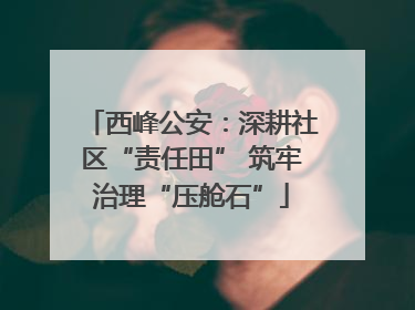 西峰公安：深耕社区“责任田” 筑牢治理“压舱石”