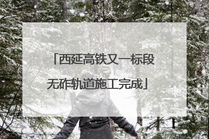 西延高铁又一标段无砟轨道施工完成