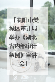 襄阳市樊城区审计局举办《湖北省内部审计条例》宣讲会