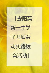 襄阳高新一中学子开展劳动实践教育活动