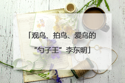 观鸟、拍鸟、爱鸟的“勺子王”李东明