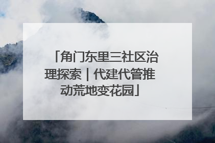 角门东里三社区治理探索｜代建代管推动荒地变花园