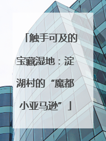 触手可及的宝藏湿地：淀湖村的“魔都小亚马逊”