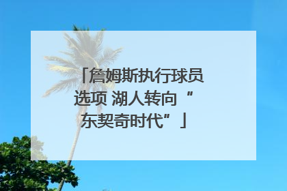 詹姆斯执行球员选项 湖人转向“东契奇时代”