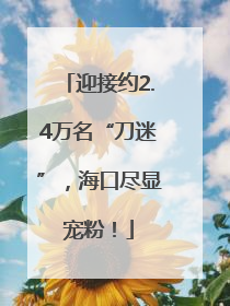 迎接约2.4万名“刀迷”，海口尽显宠粉！