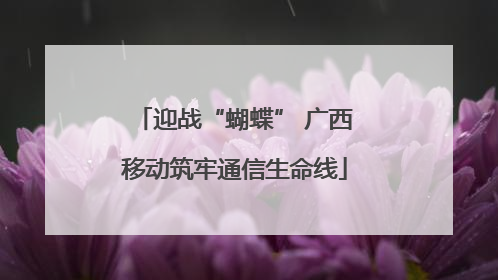 迎战“蝴蝶” 广西移动筑牢通信生命线