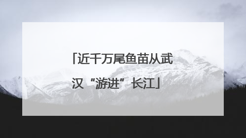 近千万尾鱼苗从武汉“游进”长江